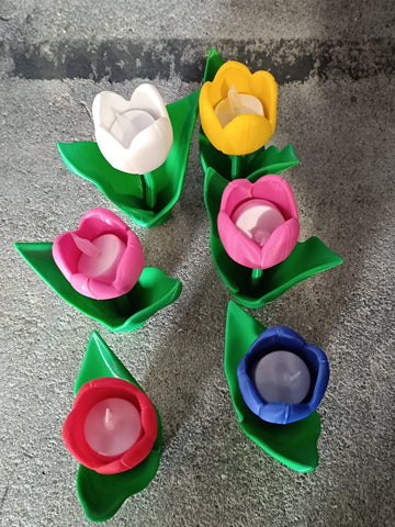 Tulipas
